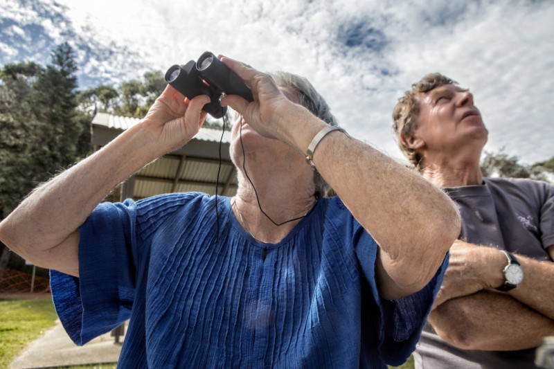 Warners Bay_20161009_073.jpg